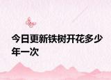 今日更新铁树开花多少年一次