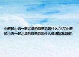小雅和小惠一起北漂的微电影叫什么介绍(小雅和小惠一起北漂的微电影叫什么详细情况如何)