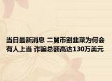 当日最新消息 二舅币割韭菜为何会有人上当 诈骗总额高达130万美元