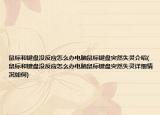 鼠标和键盘没反应怎么办电脑鼠标键盘突然失灵介绍(鼠标和键盘没反应怎么办电脑鼠标键盘突然失灵详细情况如何)