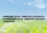 白蝴蝶和扁蝶兰是不是一种植物?外形上有没有区别?介绍(白蝴蝶和扁蝶兰是不是一种植物?外形上有没有区别?详细情况如何)