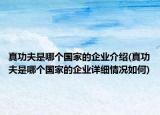 真功夫是哪个国家的企业介绍(真功夫是哪个国家的企业详细情况如何)