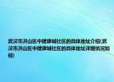 武汉市洪山区中建康城社区的具体地址介绍(武汉市洪山区中建康城社区的具体地址详细情况如何)