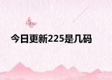 今日更新225是几码