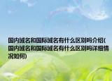 国内域名和国际域名有什么区别吗介绍(国内域名和国际域名有什么区别吗详细情况如何)