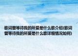 歌词曾等待我的所爱是什么歌介绍(歌词曾等待我的所爱是什么歌详细情况如何)