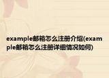 example邮箱怎么注册介绍(example邮箱怎么注册详细情况如何)