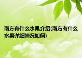 南方有什么水果介绍(南方有什么水果详细情况如何)