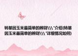 转基因玉米最简单的辨别\