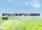 资产注入介绍(资产注入详细情况如何)