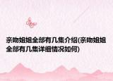 亲吻姐姐全部有几集介绍(亲吻姐姐全部有几集详细情况如何)
