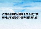 广西梧州宝石城是哪个区介绍(广西梧州宝石城是哪个区详细情况如何)
