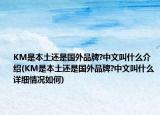 KM是本土还是国外品牌?中文叫什么介绍(KM是本土还是国外品牌?中文叫什么详细情况如何)