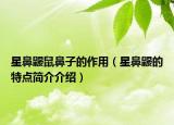 星鼻鼹鼠鼻子的作用（星鼻鼹的特点简介介绍）