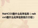 NaHCO3是什么化学名称（nahco3是什么化学名称简介介绍）