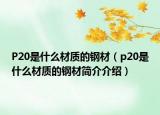 P20是什么材质的钢材（p20是什么材质的钢材简介介绍）