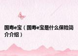 国寿e宝（国寿e宝是什么保险简介介绍）