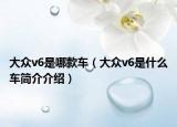 大众v6是哪款车（大众v6是什么车简介介绍）