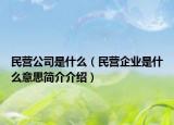 民营公司是什么（民营企业是什么意思简介介绍）