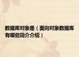 数据库对象是（面向对象数据库有哪些简介介绍）