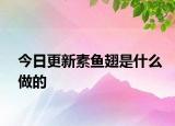 今日更新素鱼翅是什么做的