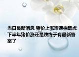 当日最新消息 猪价上涨遭遇拦路虎下半年猪价涨还是跌终于有最新答案了