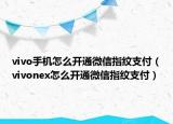 vivo手机怎么开通微信指纹支付（vivonex怎么开通微信指纹支付）