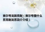 赛尔号龙族克制（赛尔号里什么系克制龙系简介介绍）