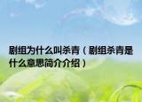 剧组为什么叫杀青（剧组杀青是什么意思简介介绍）