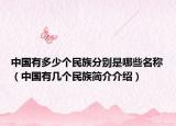 中国有多少个民族分别是哪些名称（中国有几个民族简介介绍）