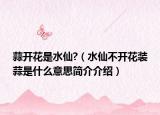 蒜开花是水仙?（水仙不开花装蒜是什么意思简介介绍）