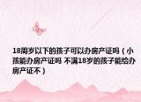 18周岁以下的孩子可以办房产证吗（小孩能办房产证吗 不满18岁的孩子能给办房产证不）