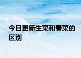今日更新生菜和春菜的区别