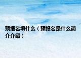 预报名填什么（预报名是什么简介介绍）