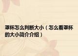 罩杯怎么判断大小（怎么看罩杯的大小简介介绍）