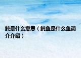 鲀是什么意思（鲀鱼是什么鱼简介介绍）