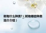 树有什么种类?（树有哪些种类简介介绍）