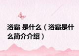 浴霸 是什么（浴霸是什么简介介绍）