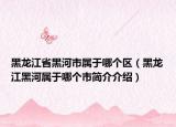 黑龙江省黑河市属于哪个区（黑龙江黑河属于哪个市简介介绍）