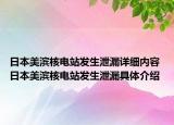 日本美滨核电站发生泄漏详细内容 日本美滨核电站发生泄漏具体介绍
