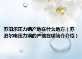 苏泊尔压力锅产地在什么地方（苏泊尔电压力锅的产地在哪简介介绍）