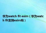 华为watch fit esim（华为watch fit支持esim吗）
