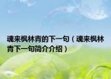 魂来枫林青的下一句（魂来枫林青下一句简介介绍）