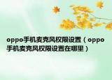 oppo手机麦克风权限设置（oppo手机麦克风权限设置在哪里）