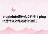 plugininfo是什么文件夹（plugin是什么文件夹简介介绍）