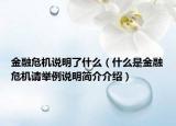 金融危机说明了什么（什么是金融危机请举例说明简介介绍）