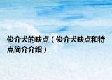 俊介犬的缺点（俊介犬缺点和特点简介介绍）