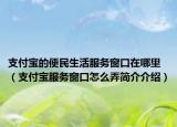 支付宝的便民生活服务窗口在哪里（支付宝服务窗口怎么弄简介介绍）