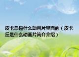 皮卡丘是什么动画片里面的（皮卡丘是什么动画片简介介绍）