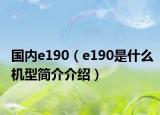 国内e190（e190是什么机型简介介绍）